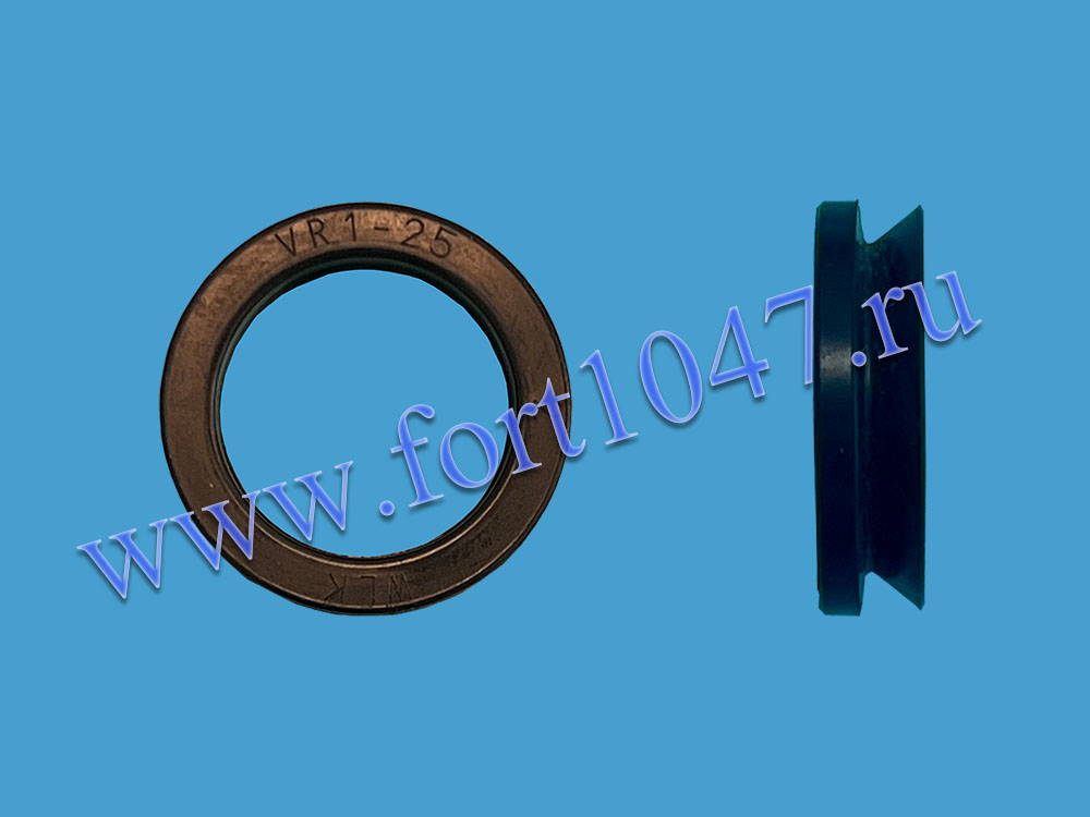 Сальник бака V"RING VA25
